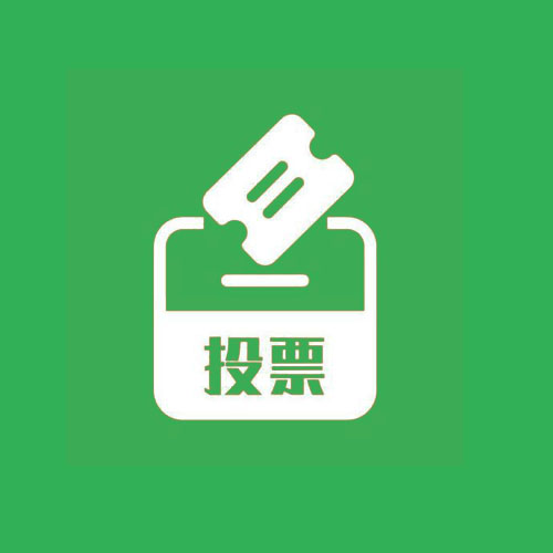 投票
