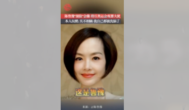 陈鲁豫与会徽“撞脸”