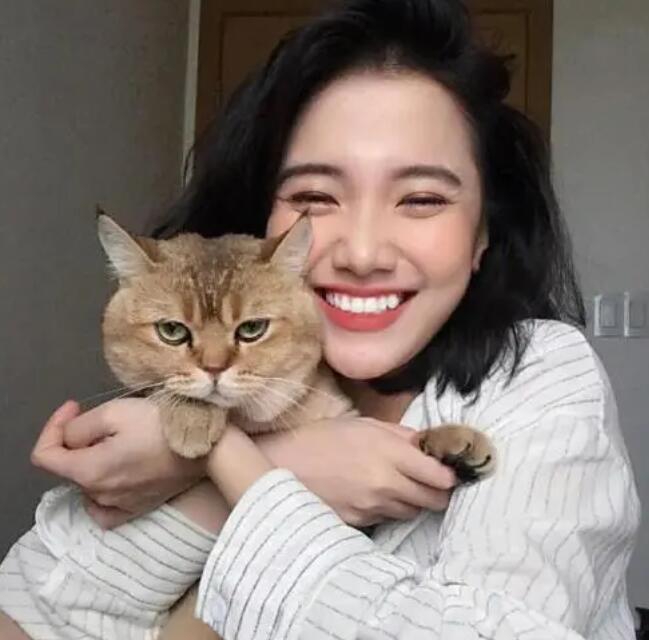 吃芥末的猫